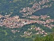 Sui monti sopra casa bei fiori primaverili-26magg23 - FOTOGALLERY